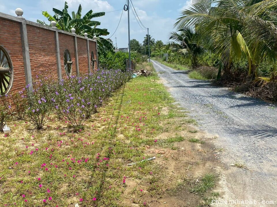 Bán nhà vườn Dt hơn 10000m2 xã Bình Đức, Bến Lức , Long An giá 16 tỷ