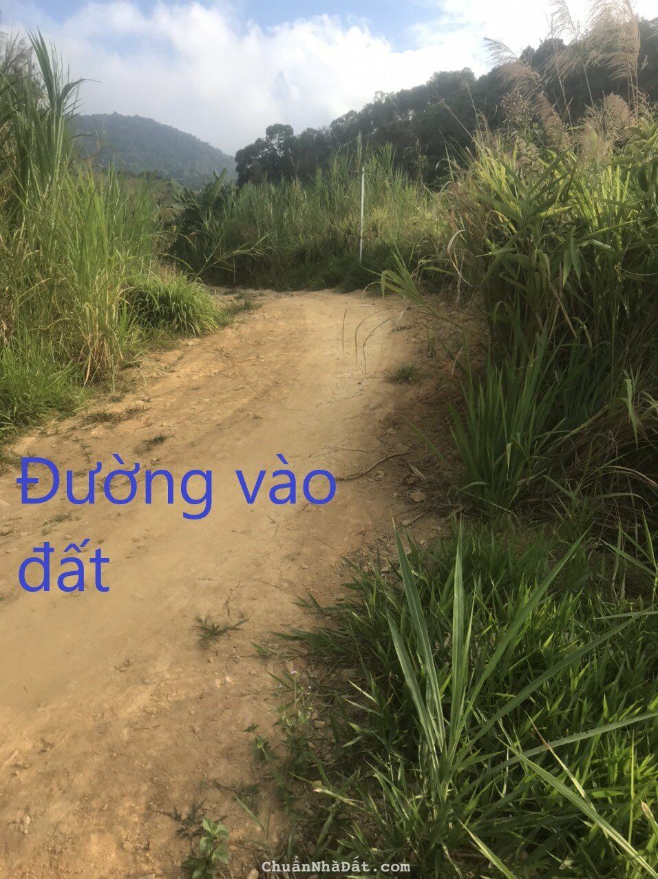 Hơn 1,2 mẫu đất vườn ở thôn 10 , xã Lộc Nam, huyện Bảo Lâm, tỉnh Lâm Đồng giá 1ty500 Hơn 1,2 mẫu đất vườn ở thôn 10 , xã Lộc Nam, huyện Bảo Lâm, tỉnh Lâm Đồng giá 1ty500