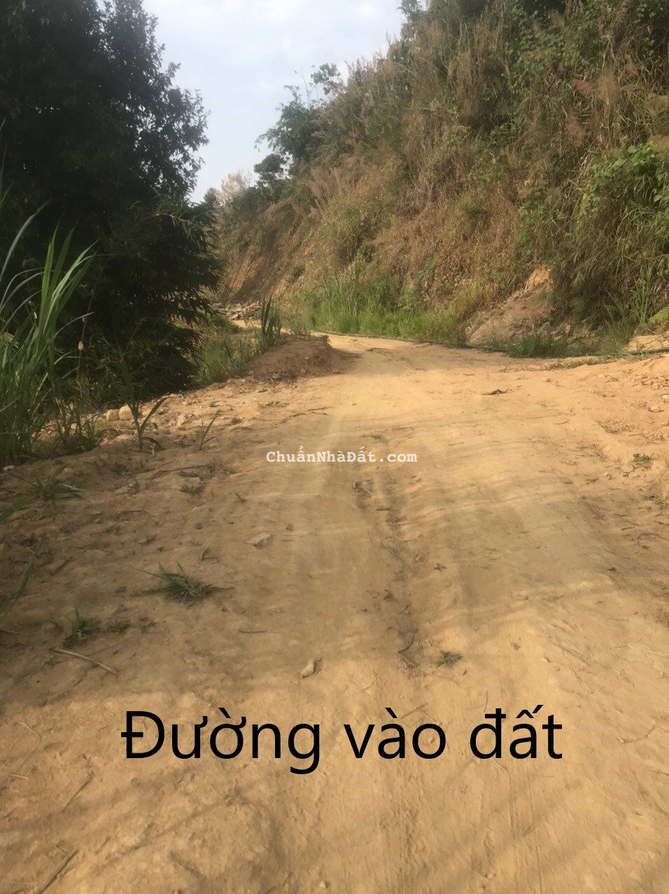 Hơn 1,2 mẫu đất vườn ở thôn 10 , xã Lộc Nam, huyện Bảo Lâm, tỉnh Lâm Đồng giá 1ty500 Hơn 1,2 mẫu đất vườn ở thôn 10 , xã Lộc Nam, huyện Bảo Lâm, tỉnh Lâm Đồng giá 1ty500