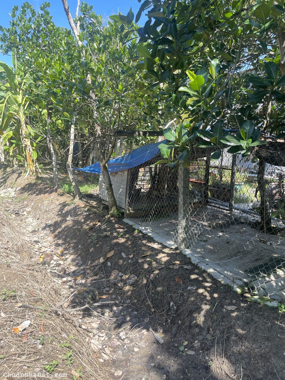 Đất trung tâm tp Sa Đéc hẻm đường Trần Thị Nhượng dt 869,7m2 giá 5ty800 Đất trung tâm tp Sa Đéc hẻm đường Trần Thị Nhượng dt 869,7m2 giá 5ty800