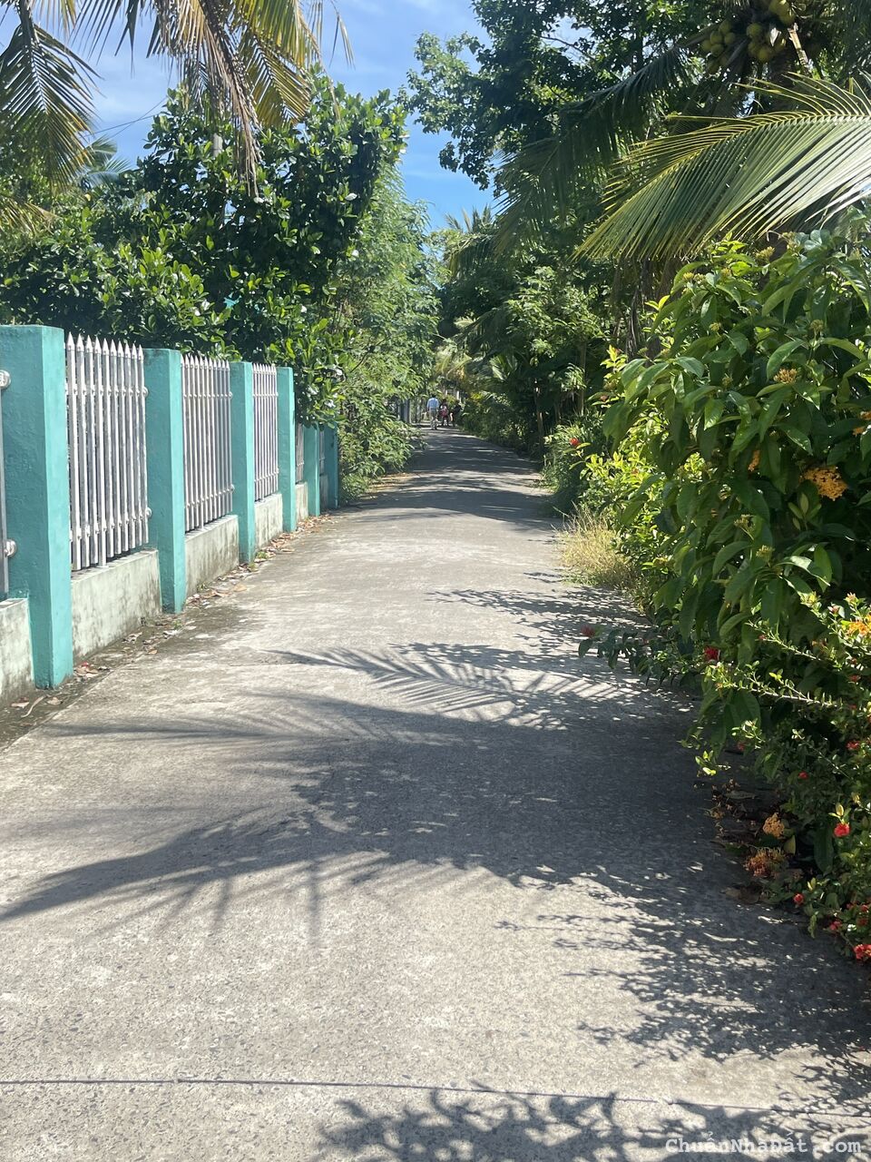 Đất trung tâm tp Sa Đéc hẻm đường Trần Thị Nhượng dt 869,7m2 giá 5ty800 Đất trung tâm tp Sa Đéc hẻm đường Trần Thị Nhượng dt 869,7m2 giá 5ty800