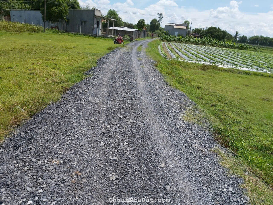 3400m2 đất thổ + vườn xã An Ninh Tây,huyện Đức Hòa giá 4,3 tỷ