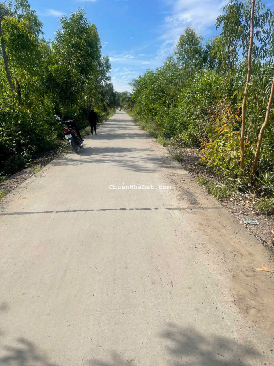 8706m2 đất vườn ấp 8 xã Lương Hòa, Bến Lức ,Long An giá 18 tỷ 8706m2 đất vườn ấp 8 xã Lương Hòa, Bến Lức ,Long An giá 18 tỷ