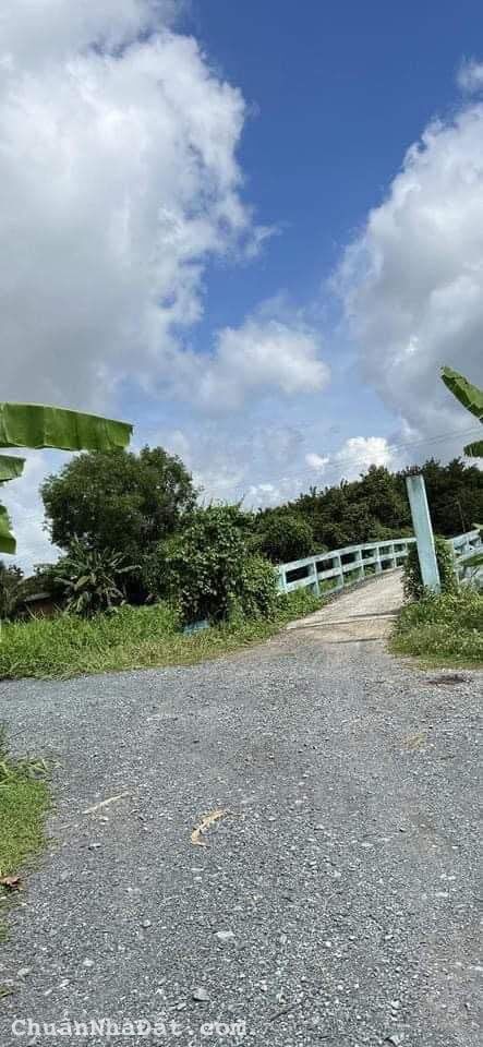 0,5 hecta đất trồng cây lâu năm xã Phú Hòa Đông,Củ Chi giá 8,5 tỷ