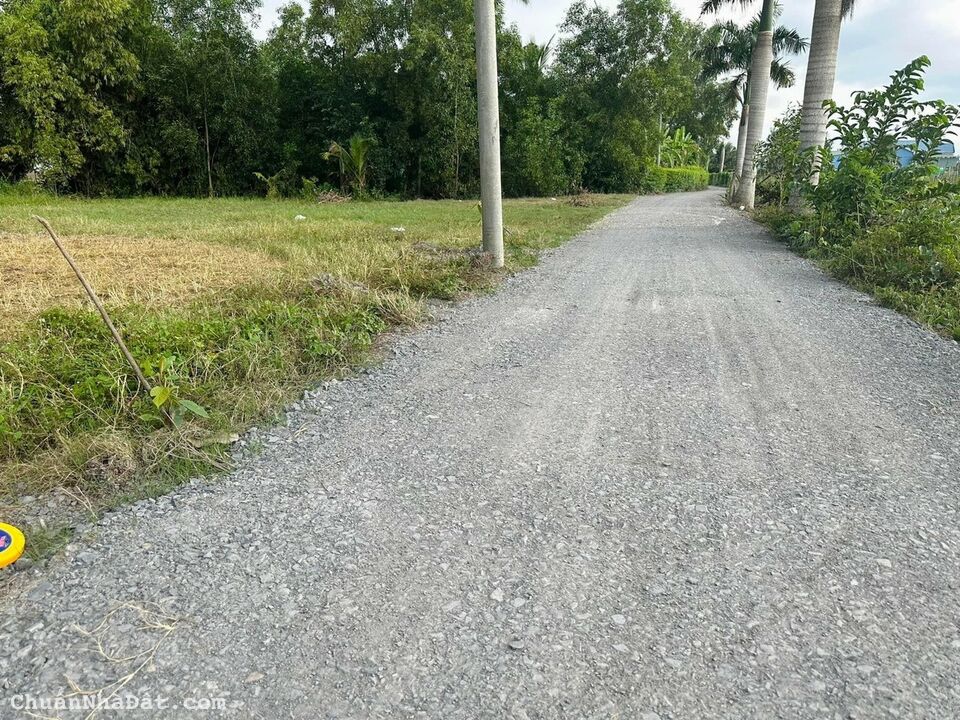 Nền thổ cư dt 117,5m2 tại xã Phước Vân,Cần Đước,Long An giá 850tr