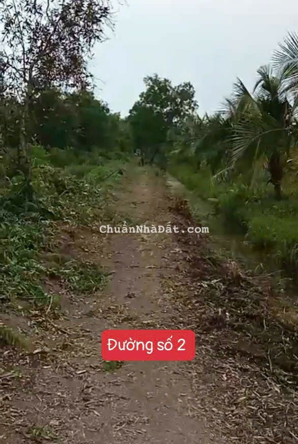 16000m2 đất vườn Thạnh Hòa,Bến Lức,Long An giá 5 tỷ