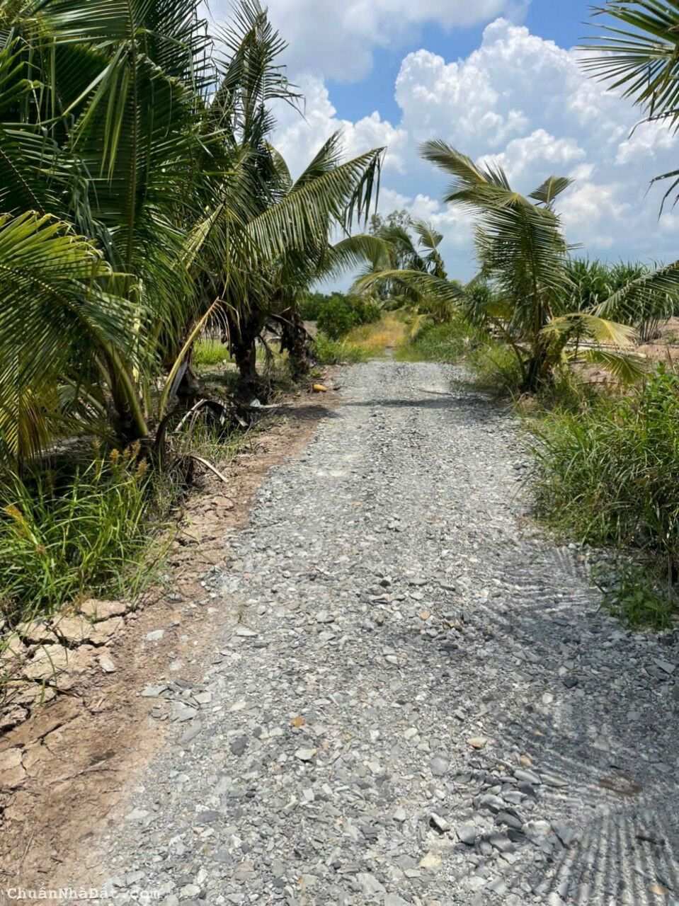 8800 đất vườn xã Thạnh Hòa, Bến Lức, Long An giá 4,8 tỷ