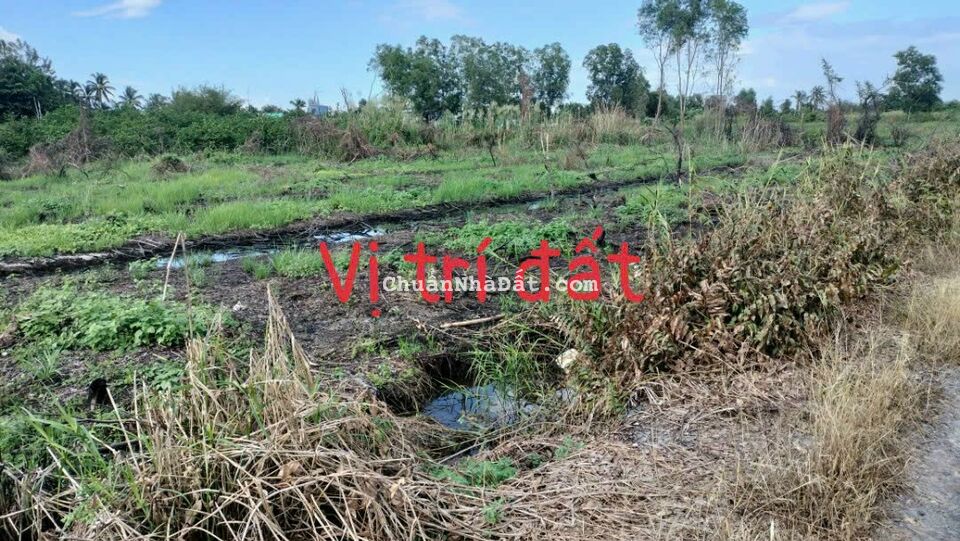 1000m2 đất vườn ấp 1 xã Thạnh Hòa, Bến Lức, Long An giá 1ty820