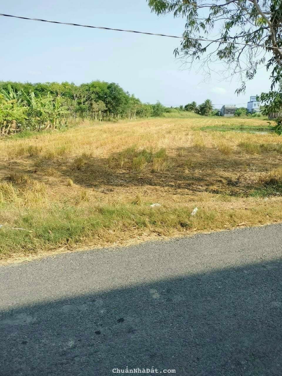 3000m2 đất vườn mặt tiền nhựa Thạnh Đức,Bến Lức , Long An giá 7,5 tỷ