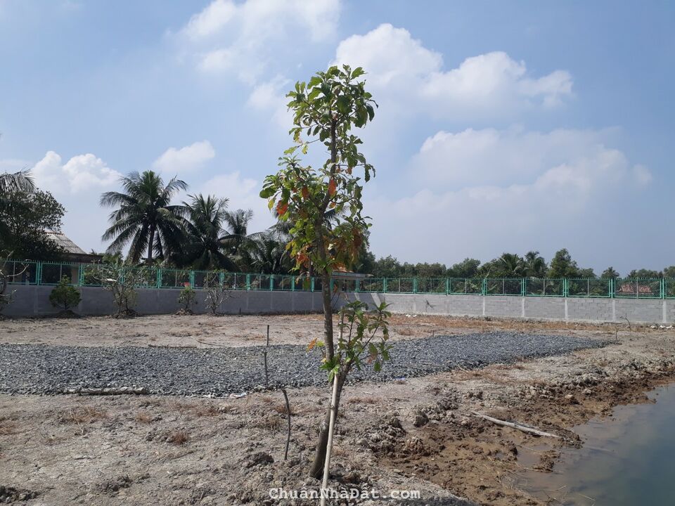 Tổng dt 5200m2 tại xã Tân Bửu, Bến Lức,Long An thích hợp nhà vườn, biệt thự giá ngộp 10 tỷ