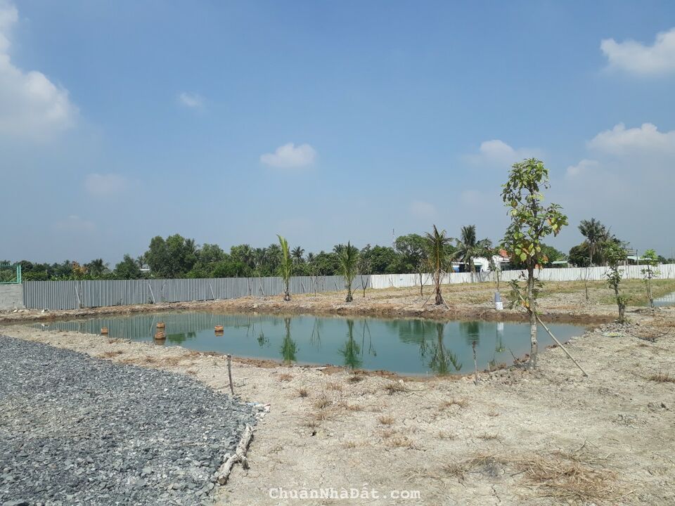 Tổng dt 5200m2 tại xã Tân Bửu, Bến Lức,Long An thích hợp nhà vườn, biệt thự giá ngộp 10 tỷ