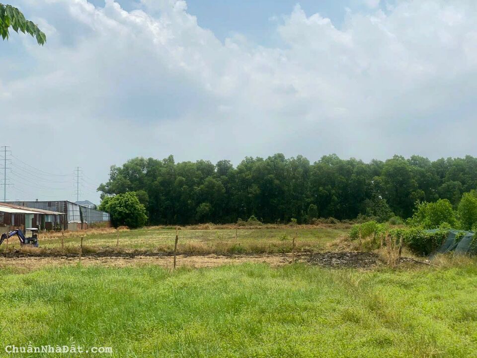 2481m2 đất xã Tân Thới Nhì,Hóc Môn giá 20 tỷ 2481m2 đất xã Tân Thới Nhì,Hóc Môn giá 20 tỷ