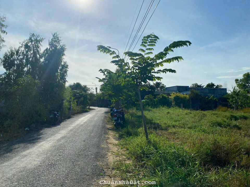 206m2 đất thổ Đông Thạnh, Cần Đước mặt tiền đường nhựa giá 2 tỷ 206m2 đất thổ Đông Thạnh, Cần Đước mặt tiền đường nhựa giá 2 tỷ