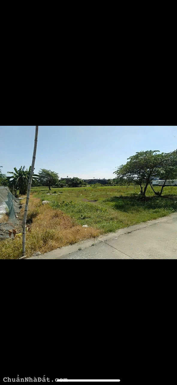 1036m2 thổ cư xã Vĩnh Lộc A, Bình Chánh giá 15,5 tỷ 1036m2 thổ cư xã Vĩnh Lộc A, Bình Chánh giá 15,5 tỷ