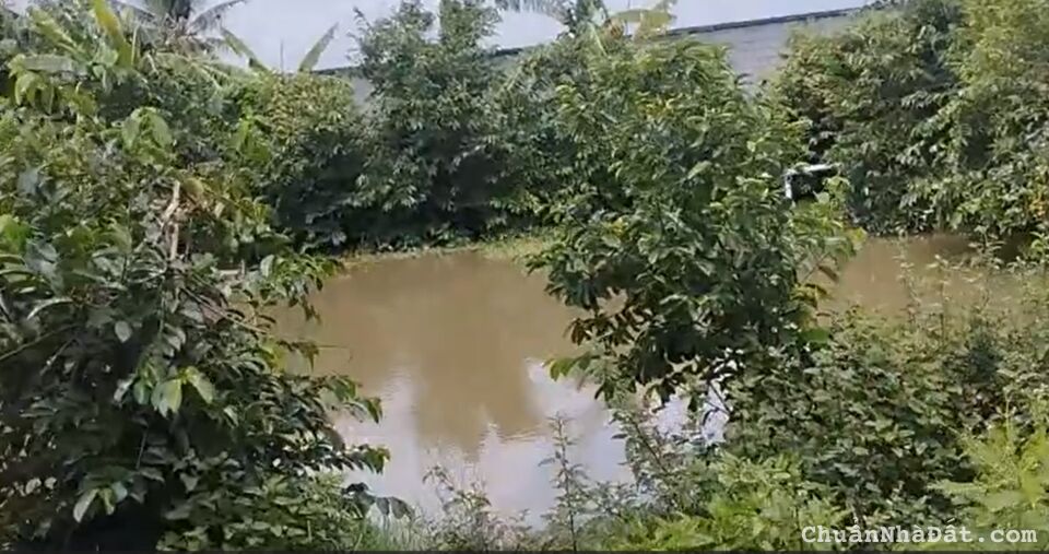 4800m2 đất mặt tiền Mỹ Bình Nhựt Chánh, xã Nhựt Chánh,Bến Lức,Long An giá 22 tỷ