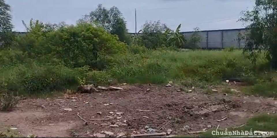 4800m2 đất mặt tiền Mỹ Bình Nhựt Chánh, xã Nhựt Chánh,Bến Lức,Long An giá 22 tỷ