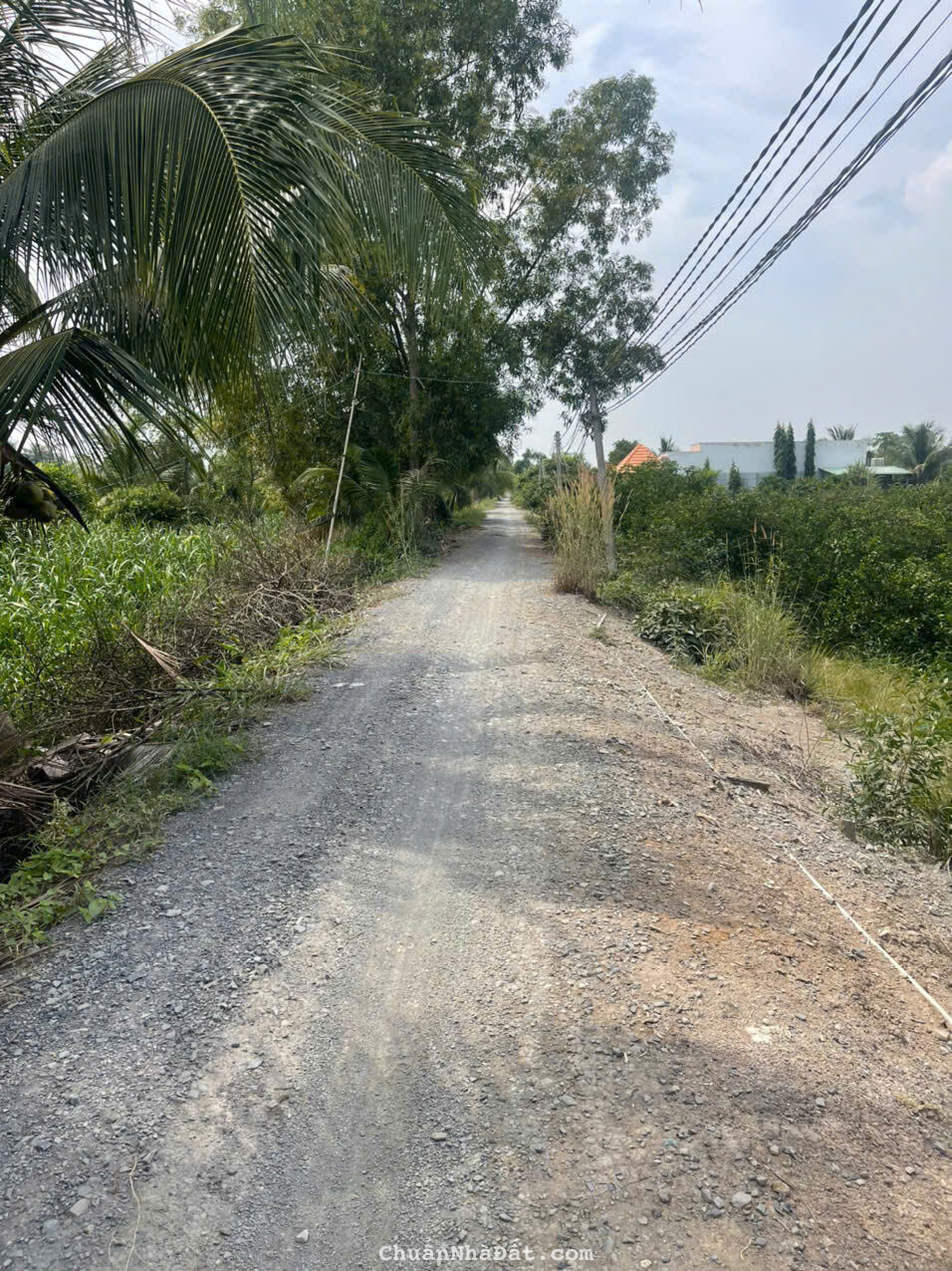 9164m2 đất vườn ấp 9 Lương Hòa,Bến Lức ,Long An giá 6,5 tỷ 9164m2 đất vườn ấp 9 Lương Hòa,Bến Lức ,Long An giá 6,5 tỷ