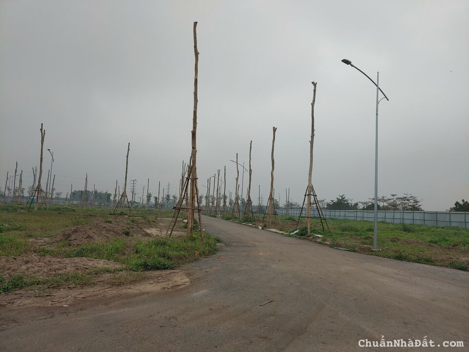 BÁN CĂN LK1 KĐT ĐÔNG DƯƠNG VIEW DÃY LK4, HƯỚNG TÂY NAM BÁN CĂN LK1 KĐT ĐÔNG DƯƠNG VIEW DÃY LK4, HƯỚNG TÂY NAM