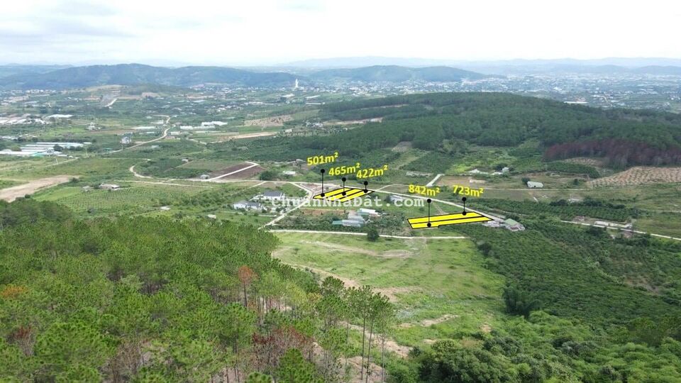 Chỉ hơn 1 tỷ có 500m2 đất ven Đà Lạt | Sẵn thổ cư - Cơ sở hạ tầng tốt |