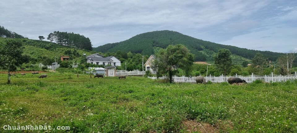 Chỉ từ 3tr/m2 có ngay 500m2 ĐẤT NGHỈ DƯỠNG GẦN ĐÀ LẠT |SHR|