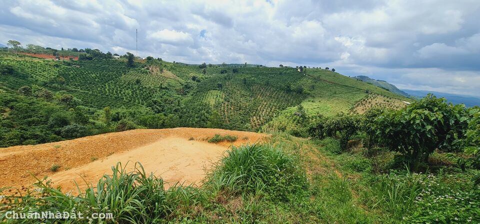 CHỈ 3,5 TỈ SỞ HỮU NGAY 7.000M2 ĐẤT VÙNG VEN ĐÀ LẠT CHỈ 3,5 TỈ SỞ HỮU NGAY 7.000M2 ĐẤT VÙNG VEN ĐÀ LẠT