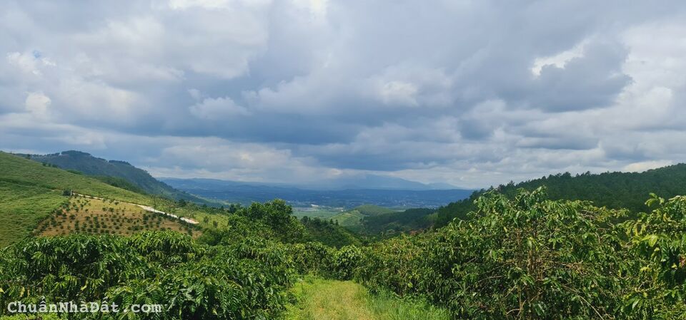 CHỈ 3,5 TỈ SỞ HỮU NGAY 7.000M2 ĐẤT VÙNG VEN ĐÀ LẠT CHỈ 3,5 TỈ SỞ HỮU NGAY 7.000M2 ĐẤT VÙNG VEN ĐÀ LẠT