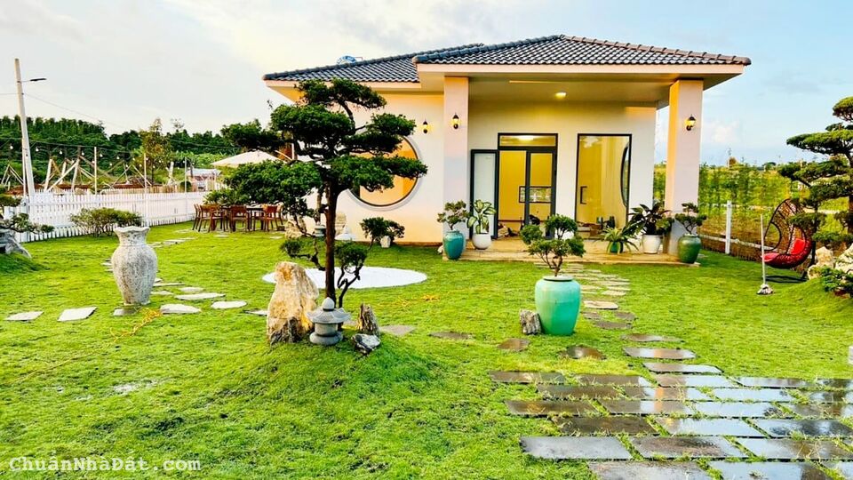 CHỈ 3,5 TỈ SỞ HỮU NGAY 7.000M2 ĐẤT VÙNG VEN ĐÀ LẠT CHỈ 3,5 TỈ SỞ HỮU NGAY 7.000M2 ĐẤT VÙNG VEN ĐÀ LẠT