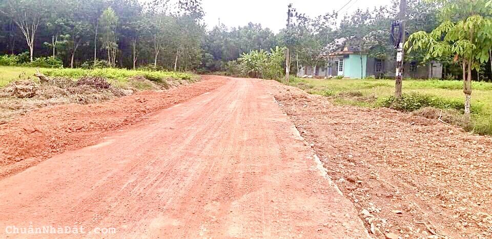 Bán đất Đồng Phú chính chủ, ngay UBND Tân Lợi, 6x50 thương lượng chính chủ