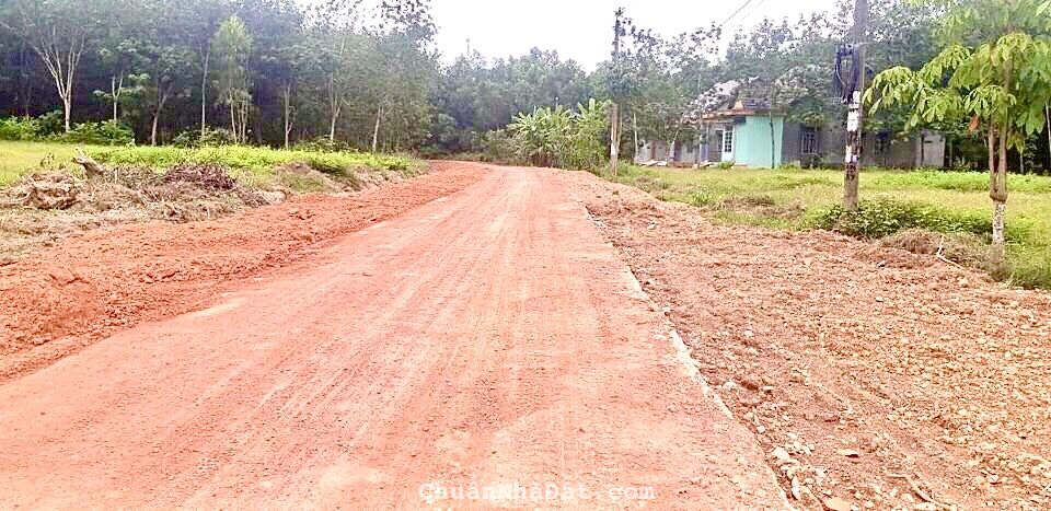 Đất ngay KCN Becamex Đồng Phú 6300ha, sát tuyến đường số 4, Sổ Sẵn, NH hỗ trợ