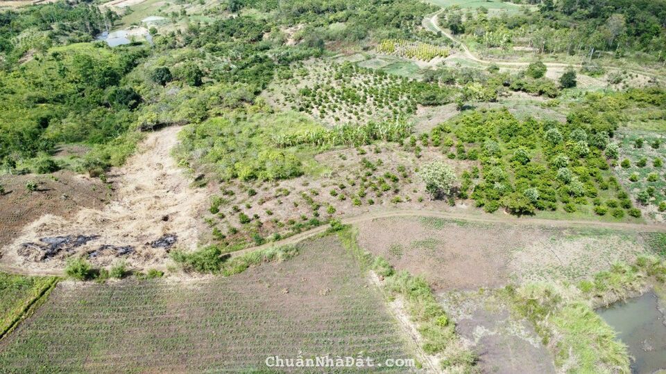 ĐẤT CÂY LÂU NĂM CHỈ 70.000Đ/M2