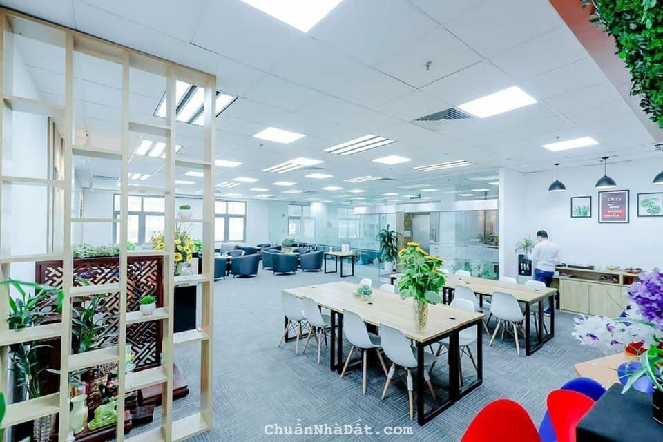 CỰC HÓT Mặt phố Cầu Giấy 200m2, 9T, doanh thu 300 triệu, vỉa hè rộng, giá 58 tỷ.