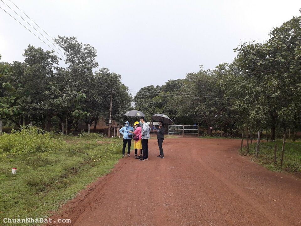 Chỉ Cần 350TR Sở Hữu Ngay Lô Đất Ngay Lô Đất Gần Cổng Chào Lộc Ninh - Bình Phước