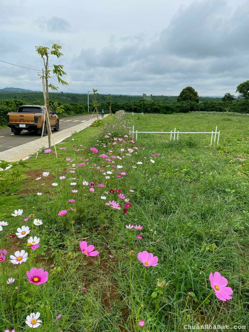 Đất nền trung tâm thành phố bảo lộc giá sốc chỉ 3,8tr/m2