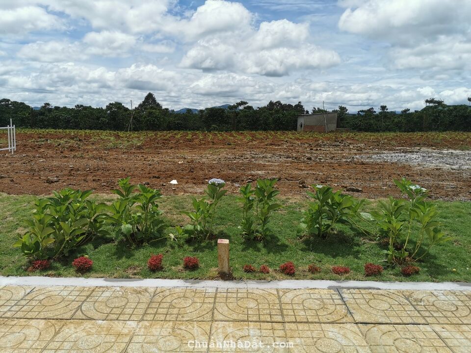 Đất nền trung tâm thành phố bảo lộc giá sốc chỉ 3,8tr/m2