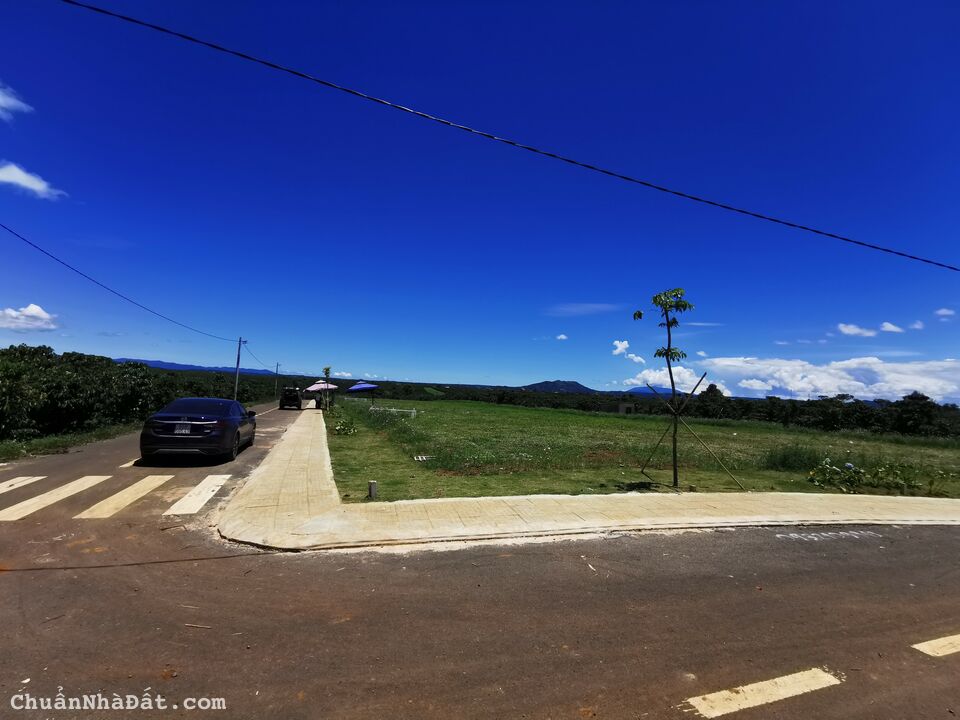 Đất Nền Lộc An - Lâm Đồng Ngay Sát QL20 Giá Rẻ Nhất Khu Vực Đất Nền Lộc An - Lâm Đồng Ngay Sát QL20 Giá Rẻ Nhất Khu Vực
