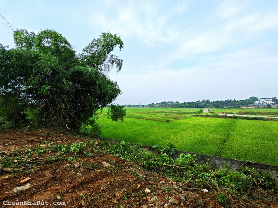 Lô đất view cánh đồng bát ngát, Hoà Thạch, Quốc Oai, Hà Nội