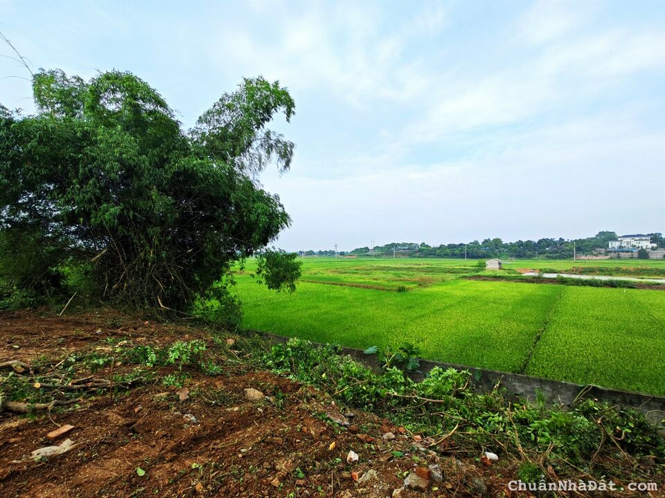 Lô đất view cánh đồng bát ngát, Hoà Thạch, Quốc Oai, HN