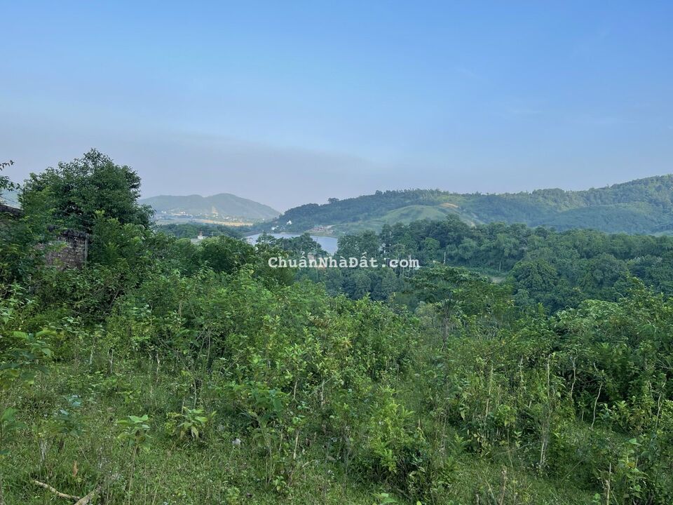 ĐẤT CAO THOÁNG VỚI DIỆN TÍCH GẦN 9000M2, CẠNH NHÀ CỦA TỚ, TẠI TIẾN XUÂN THẠCH THẤT ĐẤT CAO THOÁNG VỚI DIỆN TÍCH GẦN 9000M2, CẠNH NHÀ CỦA TỚ, TẠI TIẾN XUÂN THẠCH THẤT