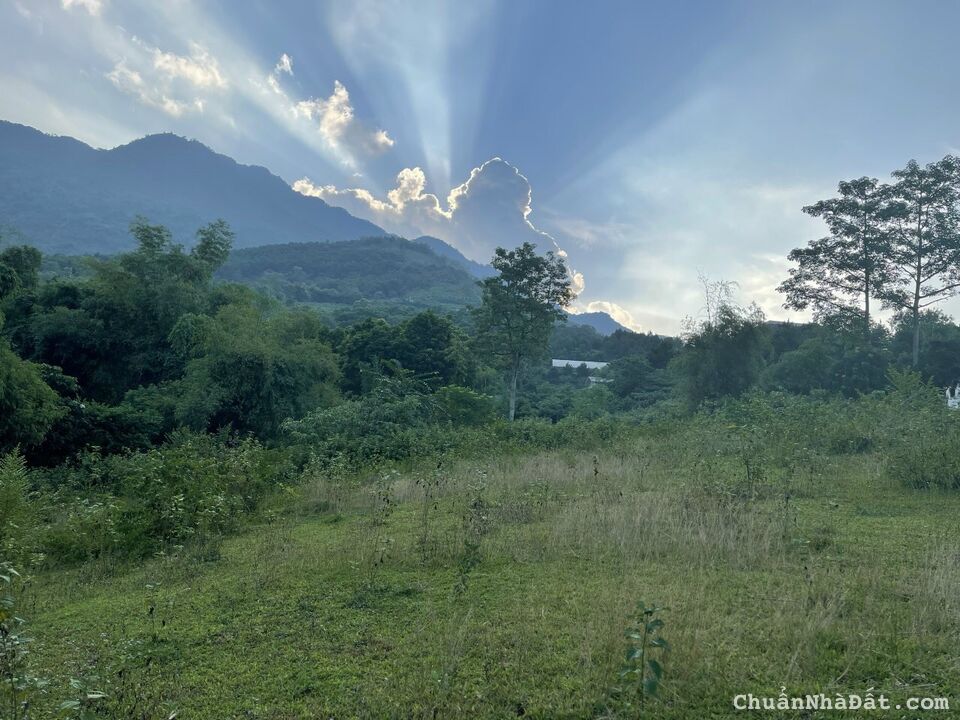 ĐẤT CAO THOÁNG VỚI DIỆN TÍCH GẦN 9000M2, CẠNH NHÀ CỦA TỚ, TẠI TIẾN XUÂN THẠCH THẤT ĐẤT CAO THOÁNG VỚI DIỆN TÍCH GẦN 9000M2, CẠNH NHÀ CỦA TỚ, TẠI TIẾN XUÂN THẠCH THẤT