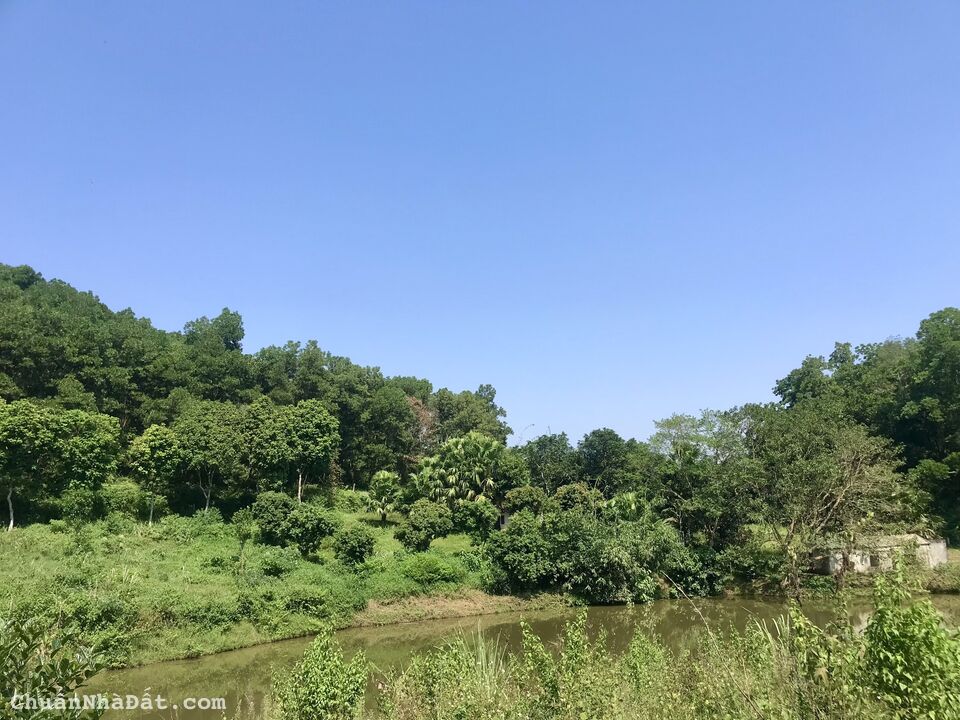 TỰA SƠN HƯỚNG THỦY, VỚI DIỆN TÍCH GẦN 5000 M2, GIÁ RẺ, TẠI YÊN BÀI, BA VÌ, HÀ NÔI TỰA SƠN HƯỚNG THỦY, VỚI DIỆN TÍCH GẦN 5000 M2, GIÁ RẺ, TẠI YÊN BÀI, BA VÌ, HÀ NÔI