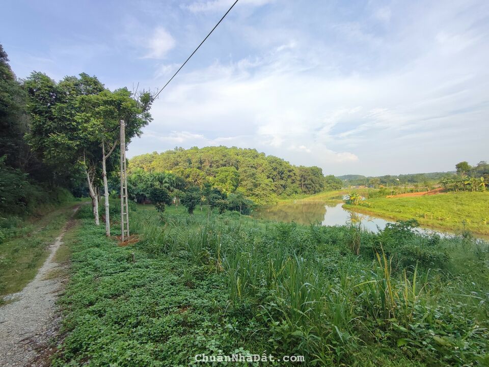 TỰA SƠN HƯỚNG THỦY, VỚI DIỆN TÍCH GẦN 5000 M2, GIÁ RẺ, TẠI YÊN BÀI, BA VÌ, HÀ NÔI TỰA SƠN HƯỚNG THỦY, VỚI DIỆN TÍCH GẦN 5000 M2, GIÁ RẺ, TẠI YÊN BÀI, BA VÌ, HÀ NÔI