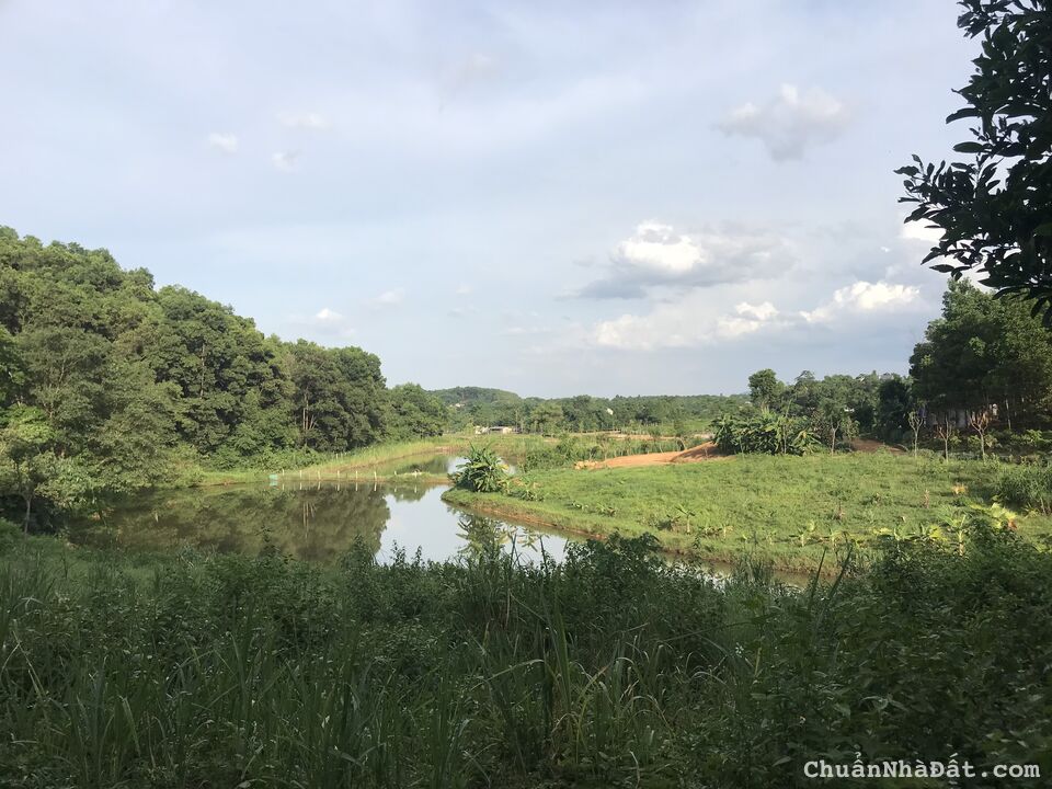 TỰA SƠN HƯỚNG THỦY, VỚI DIỆN TÍCH GẦN 5000 M2, GIÁ RẺ, TẠI YÊN BÀI, BA VÌ, HÀ NÔI TỰA SƠN HƯỚNG THỦY, VỚI DIỆN TÍCH GẦN 5000 M2, GIÁ RẺ, TẠI YÊN BÀI, BA VÌ, HÀ NÔI