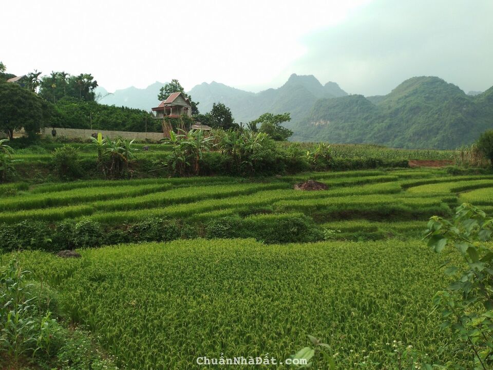 📣 VIEW RUỘNG BẬC THANG, KHÔNG KHÍ TRONG LÀNH, EM CÓ MẢNH 3469M2 TẠI KIM BÔI, HÒA BÌNH 