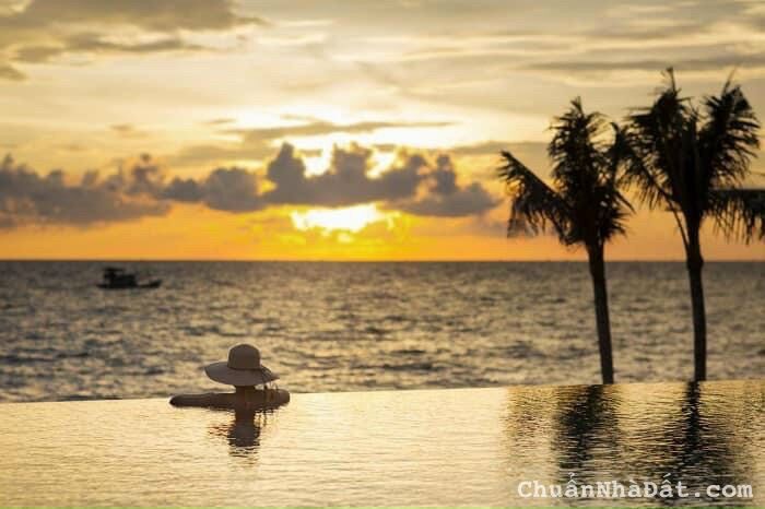 6 lý do lựa chọn đầu tư DA Nam Hội An City – giá hợp lý chỉ 3.8ty 240m2 6 lý do lựa chọn đầu tư DA Nam Hội An City – giá hợp lý chỉ 3.8ty 240m2