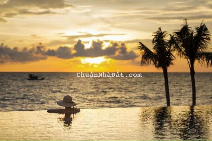 Ngộp hàng shophouse Nam Hội An giá cắt lỗ chỉ 3.65 tỷ Ngộp hàng shophouse Nam Hội An giá cắt lỗ chỉ 3.65 tỷ