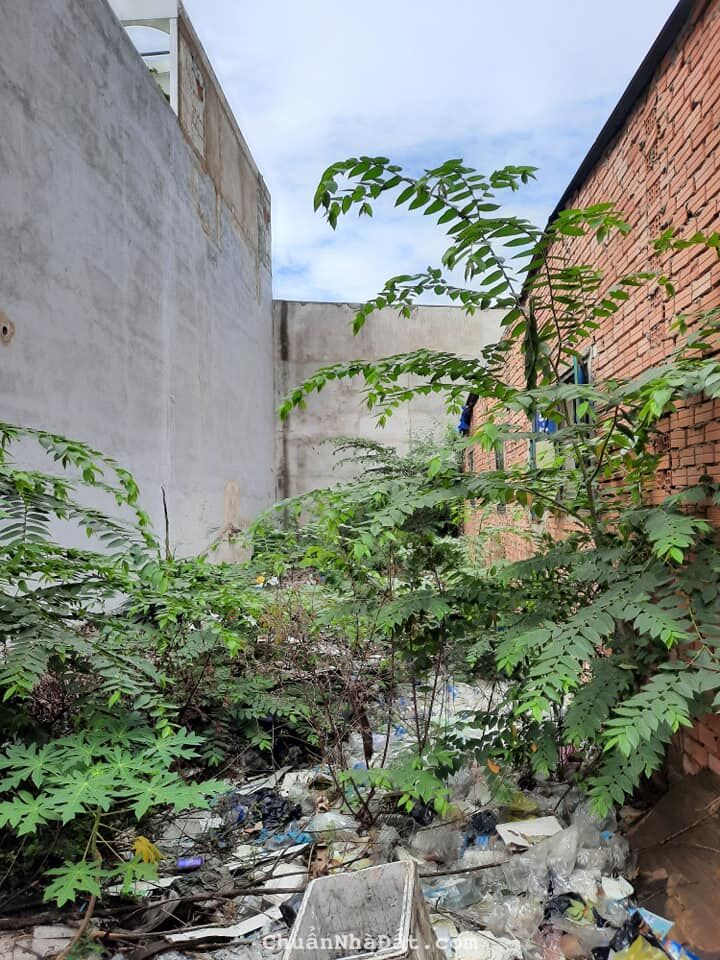 Đất  mặt tiền chợ Phạm Văn Bạch-ngang 6m-hẻm sau 6m-kinh doanh cực tốt