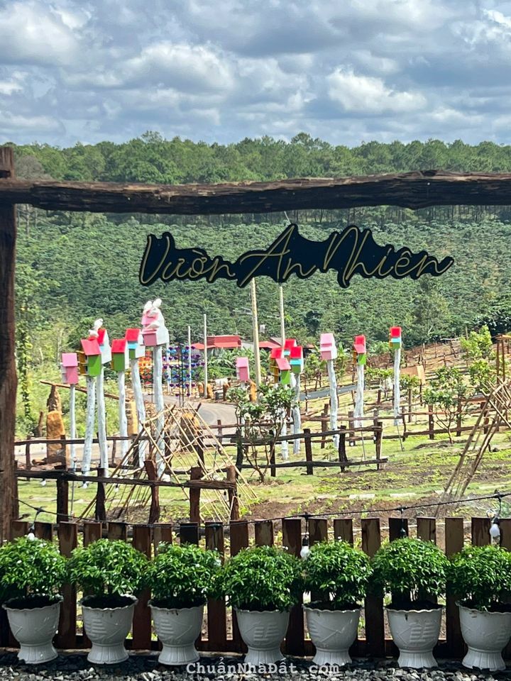 BÁN ĐẤT SHR ĐẤT VƯỜN BẢO LỘC LÂM ĐỒNG GIÁ 2.8TR/M2 BÁN ĐẤT SHR ĐẤT VƯỜN BẢO LỘC LÂM ĐỒNG GIÁ 2.8TR/M2