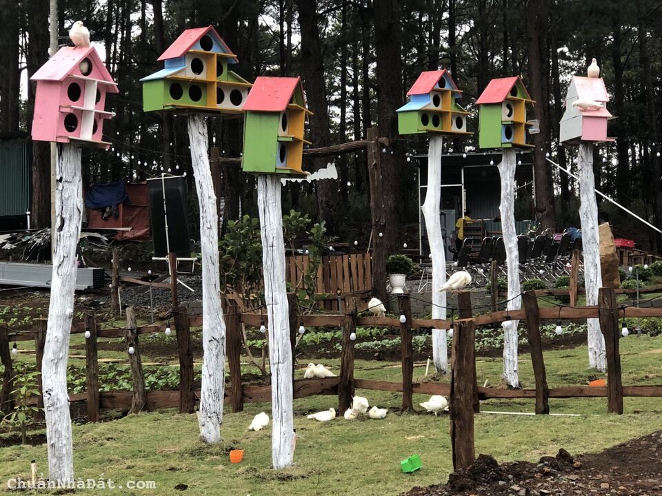 🔥 GIÁ CHỈ TỪ 2,8 TRIỆU/M2 SỞ HỮU NGAY ĐẤT VƯỜN BẢO LỘC