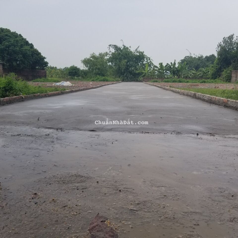 Bán 50m đất Quảng Hội Quang Tiến đường 4m sẵn sổ full thổ cư Bán 50m đất Quảng Hội Quang Tiến đường 4m sẵn sổ full thổ cư