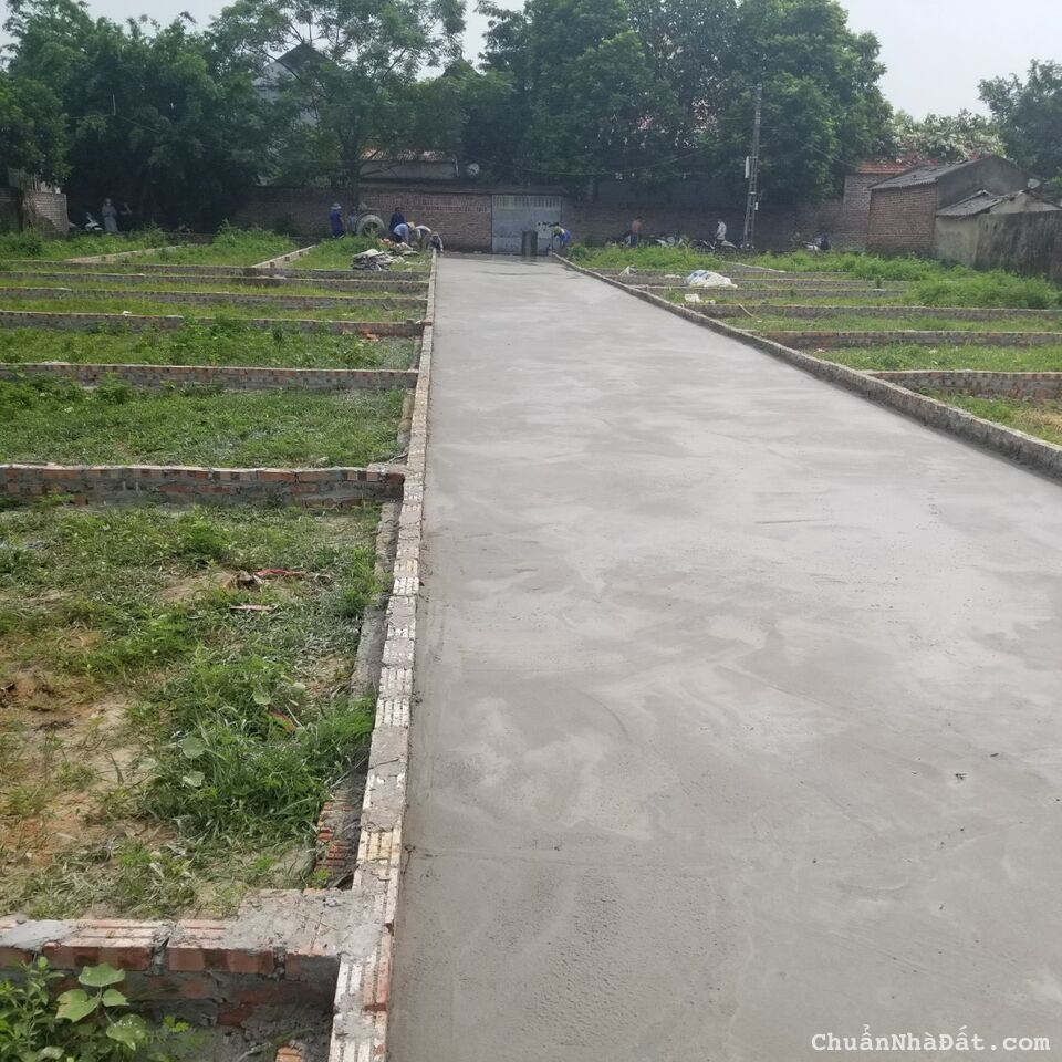 Bán 50m đất Quảng Hội Quang Tiến đường 4m sẵn sổ full thổ cư Bán 50m đất Quảng Hội Quang Tiến đường 4m sẵn sổ full thổ cư